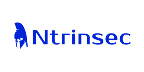 ntrinsec ntrinsec Logo